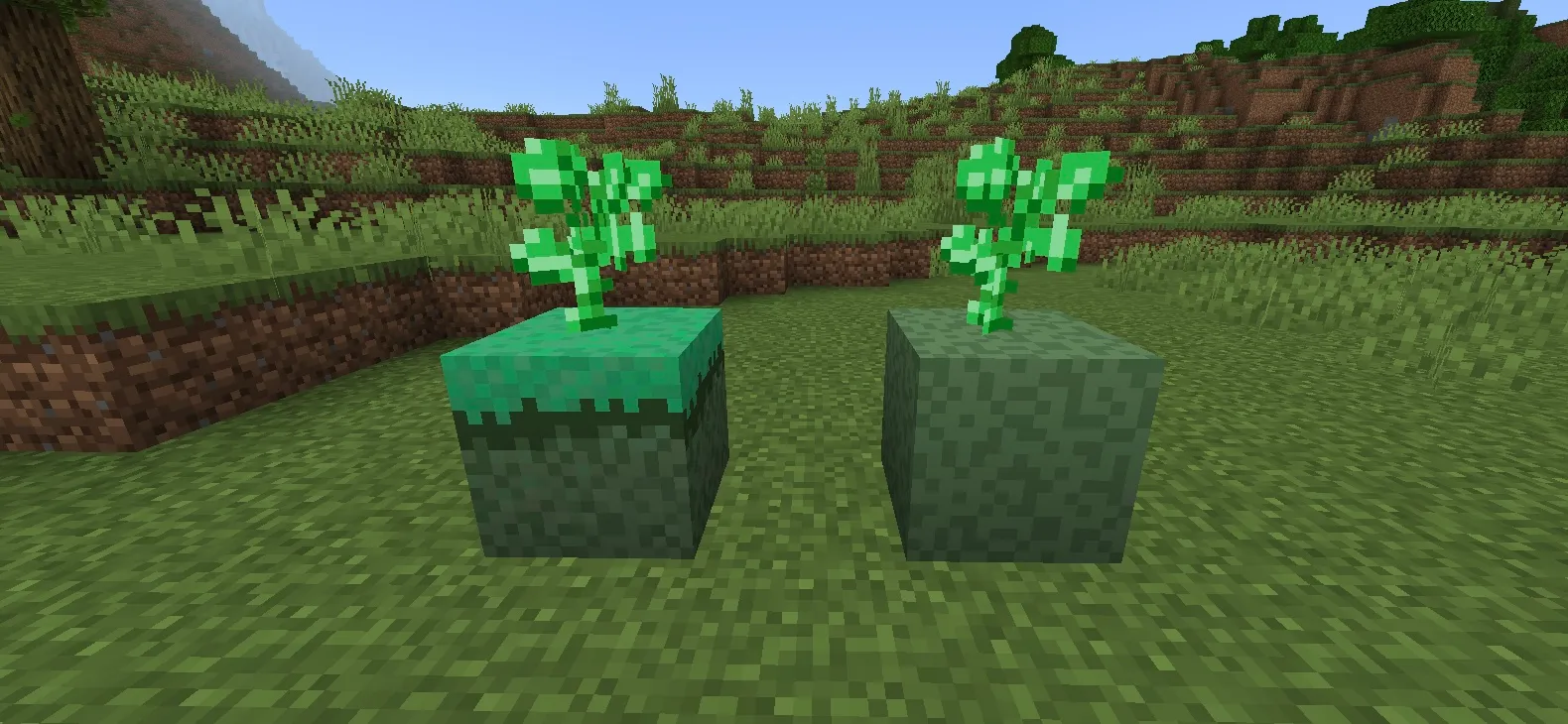 Slime Tree Growth